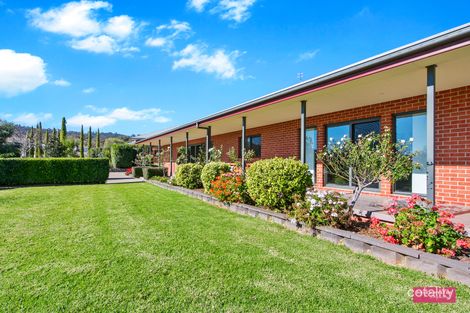 Property photo of 15 Daintree Circuit Moore Creek NSW 2340