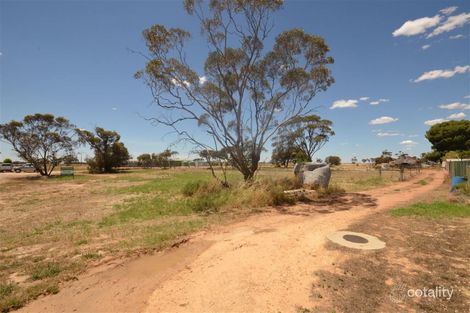 11 Hylton Ave, Pinnaroo, SA 5304