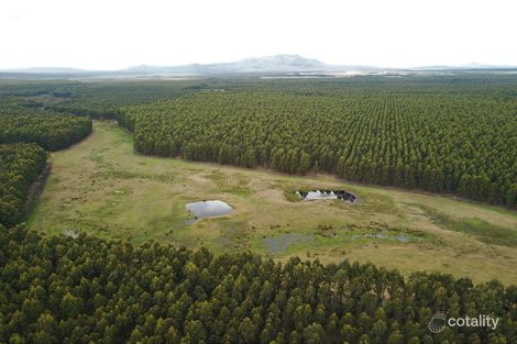 370 Pfeiffer Rd, Manypeaks, WA 6328