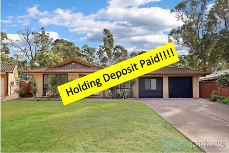 6 Rich Cl, Bligh Park, NSW 2756