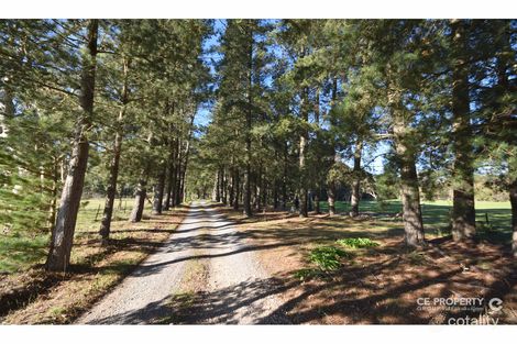 459 Cromer Rd, Cromer, SA 5235