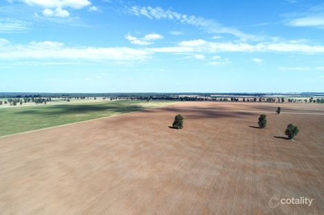 1041 Balladoran Railway Rd, Gilgandra, NSW 2827