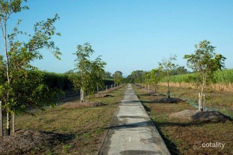 Property photo of 17 Wisteria Avenue Bakers Creek QLD 4740