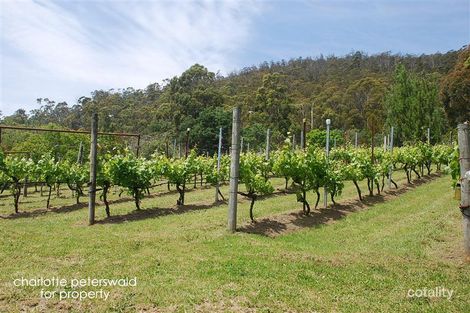 Property photo of 193 Waterworks Road Dynnyrne TAS 7005