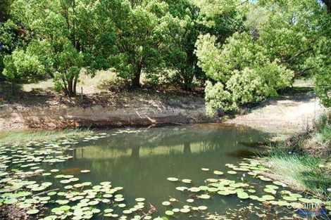 Property photo of 21 Wust Road Cooroy QLD 4563