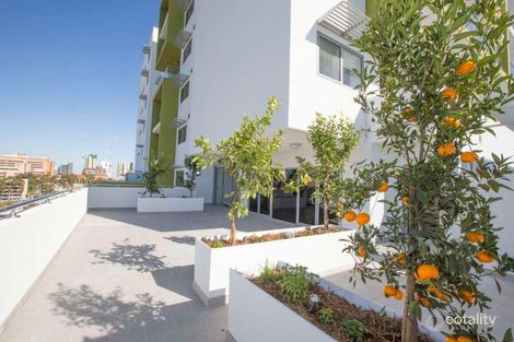 50/33 Newcastle St, Perth, WA 6000