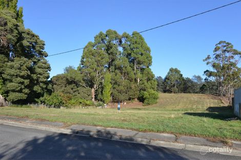 6 Park Ave, Penguin, TAS 7316