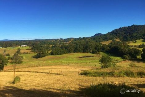 12 Cicolini Cl, Upper Lansdowne, NSW 2430