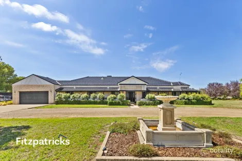 3 Mirbelia Dr, Springvale, NSW 2650