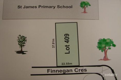 42 Finnegan Cres, Muswellbrook, NSW 2333