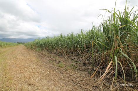 96 Gandini Rd, Giru, QLD 4809