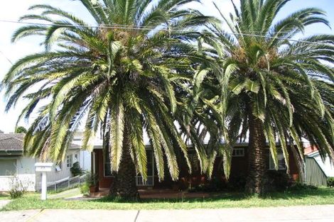 48 Sutherland Rd, Jannali, NSW 2226