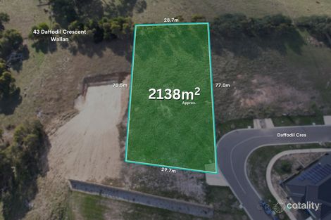 Property photo of 43 Daffodil Crescent Wallan VIC 3756