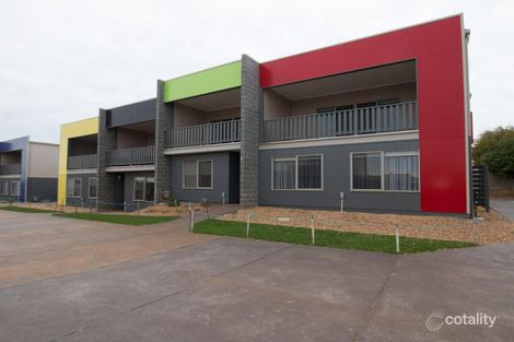 Property photo of 19 Napier Place Warrnambool VIC 3280