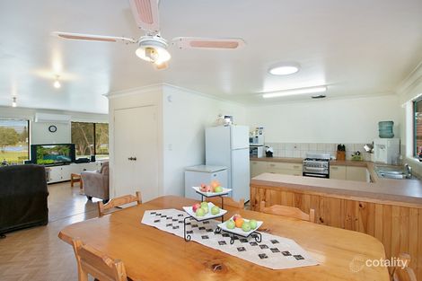 Property photo of 24 McLeod Street Condong NSW 2484