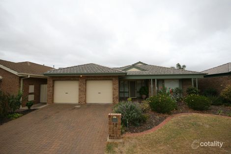 14 Peppertree Gr, Marion, SA 5043