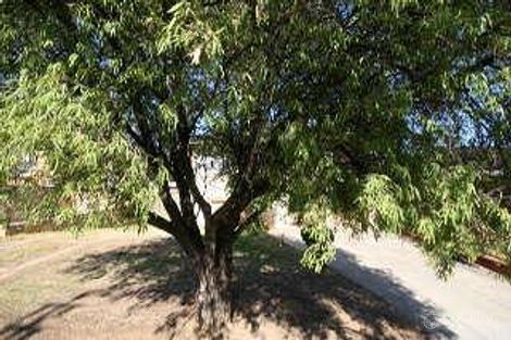 14 Hillrise Rd, Panorama, SA 5041