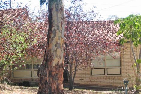 2/1b Lewis Ave, Tea Tree Gully, SA 5091