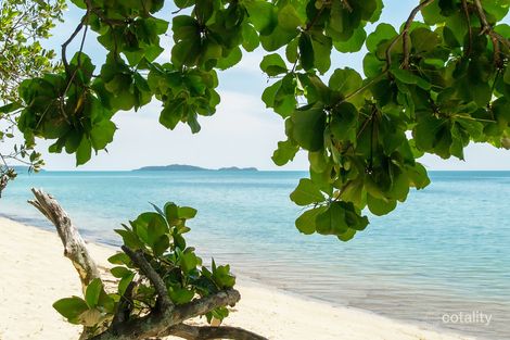 Property photo of 29 Oleander Drive Wonga Beach QLD 4873