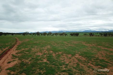 Property photo of 270 Meadows Lane Warral NSW 2340