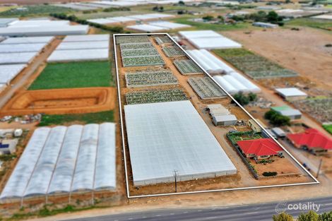 84 Gawler Rd, Virginia, SA 5120