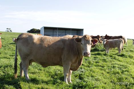 310 Wool Wool Rd, Alvie, VIC 3249