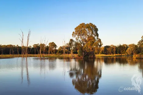 Property photo of 296 Forest Way Wee Waa NSW 2388