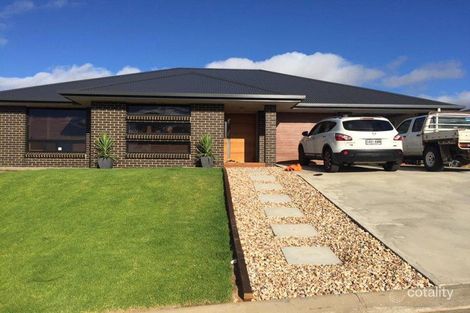 7 Buffalo Cres, Mount Gambier, SA 5290