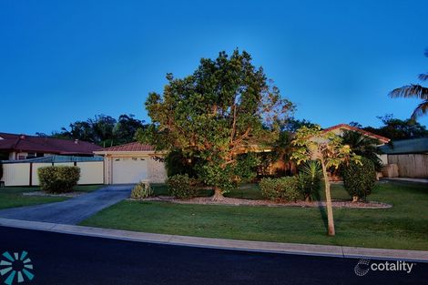 Property photo of 60 Murrumbidgee Street Hillcrest QLD 4118