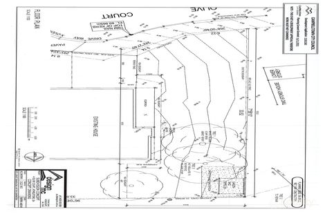 Property photo of 4A Olive Court Athelstone SA 5076