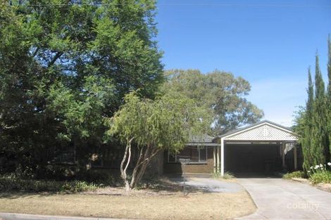 19 Gagarin St, Modbury North, SA 5092