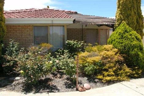 Property photo of 1C Pine Grove Kardinya WA 6163