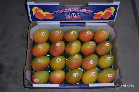 213 Pin Rd, Mutchilba, QLD 4872