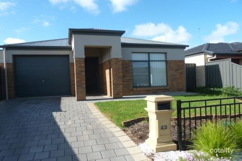 43 Chardonnay Bvd, Reynella, SA 5161