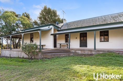 121c Radford Rd, Seppeltsfield, SA 5355