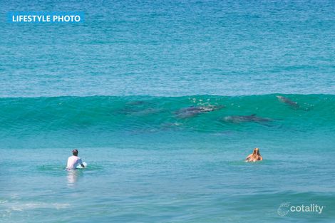 51 Pacific St, Corindi Beach, NSW 2456