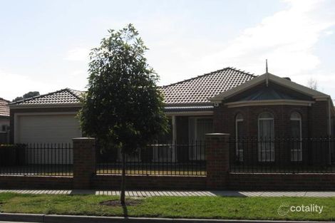 3 Wingate St, Bentleigh East, VIC 3165