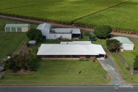 Property photo of 203 Homebush Road Rosella QLD 4740