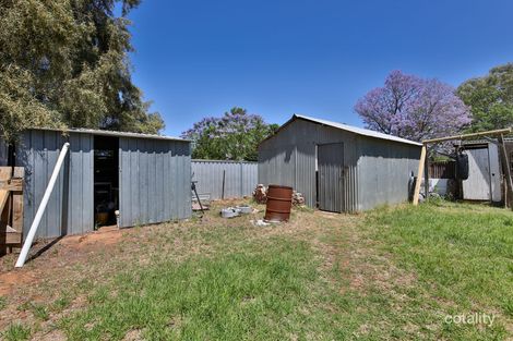 Property photo of 19 Kauri Street Red Cliffs VIC 3496