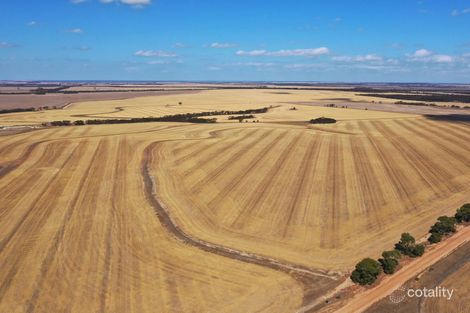 669 Neve Rd, Pingrup, WA 6343