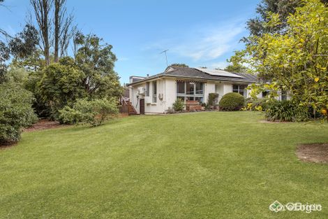 Property photo of 1/317 Blackburn Road Burwood East VIC 3151