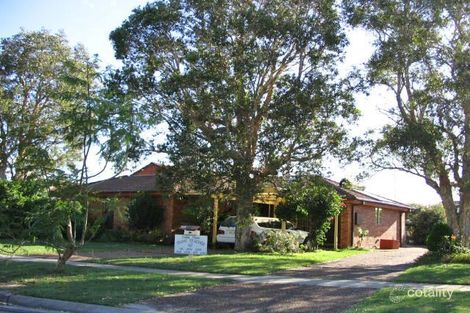 29 Cabbage Tree Palm Cres, Pelican, NSW 2281