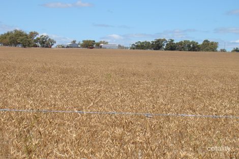 296 Warradong Spring Rd, Milo, WA 6525