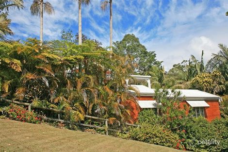 Property photo of 53 Long Road Tamborine Mountain QLD 4272