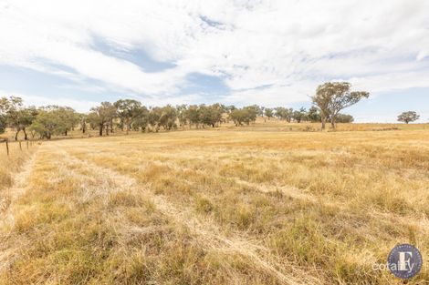Property photo of 42 Dowling Drive Murringo NSW 2586