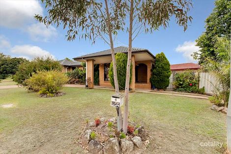 Property photo of 6 Pickett Avenue Minto NSW 2566