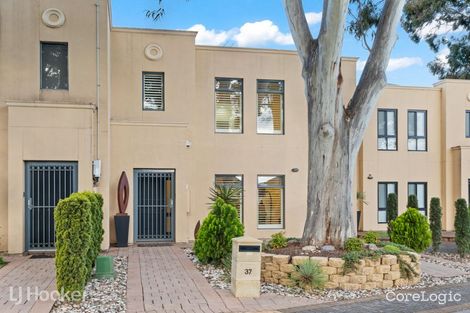 Property photo of 37 Willow Bend Marden SA 5070
