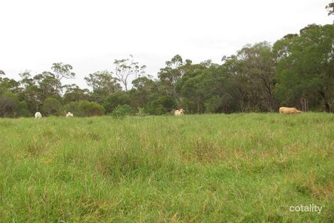 Property photo of 299 Lower Waterloo Road Waterloo QLD 4673