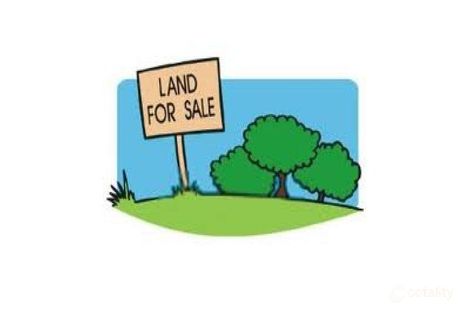 Property photo of 55 McLeod Street Cleveland QLD 4163