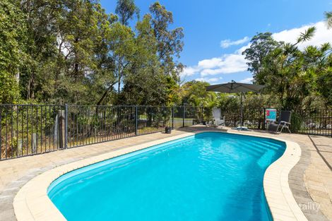 Property photo of 77 Blueberry Drive Black Mountain QLD 4563